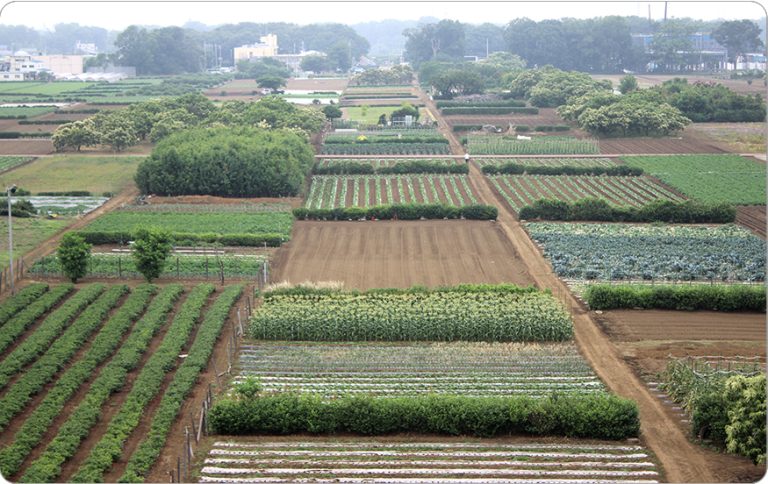 2．三富新田