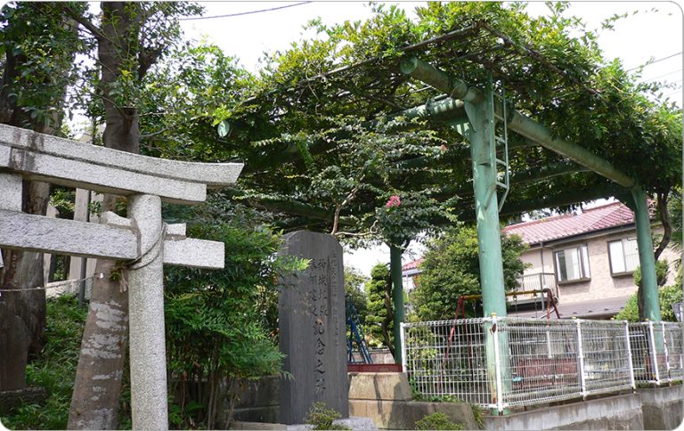 52．藤森稲荷神社の藤