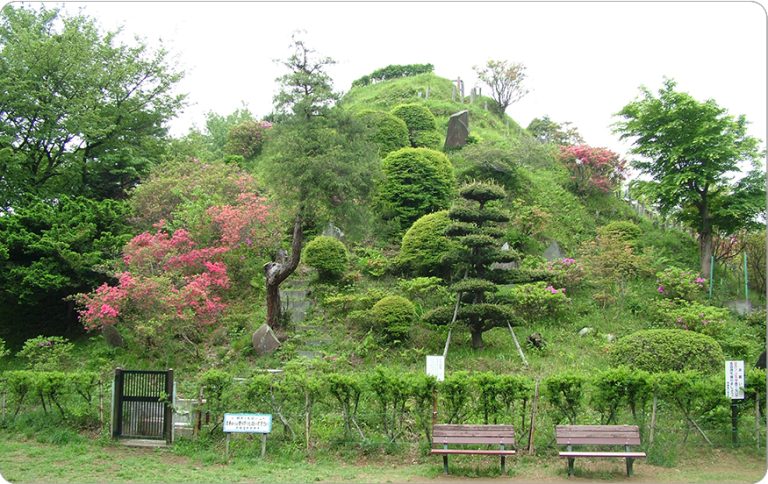 59．荒幡富士