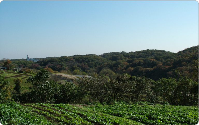 61．狭山丘陵